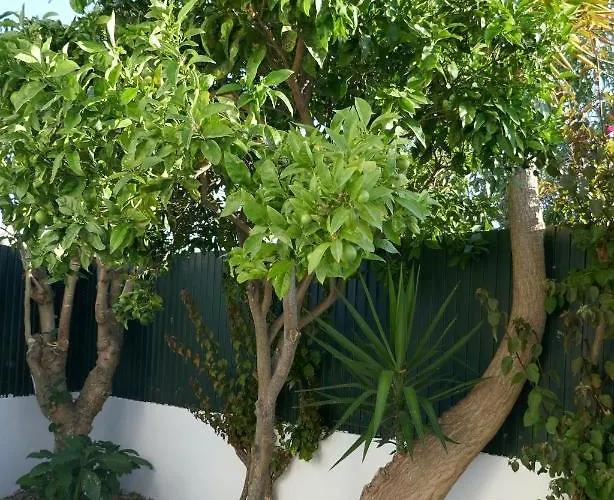 A Sul * אלבופיירה